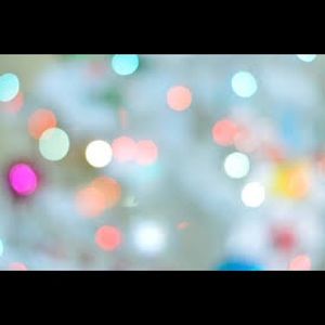 Meet your Posher, Rose